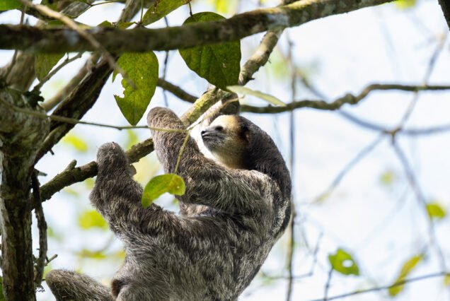 Peperpot Nature Park Discovery by Bike