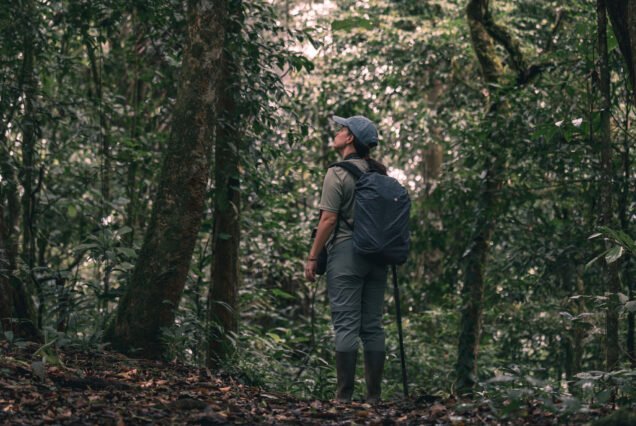 Brownsberg Nature Park Waterfall Adventure