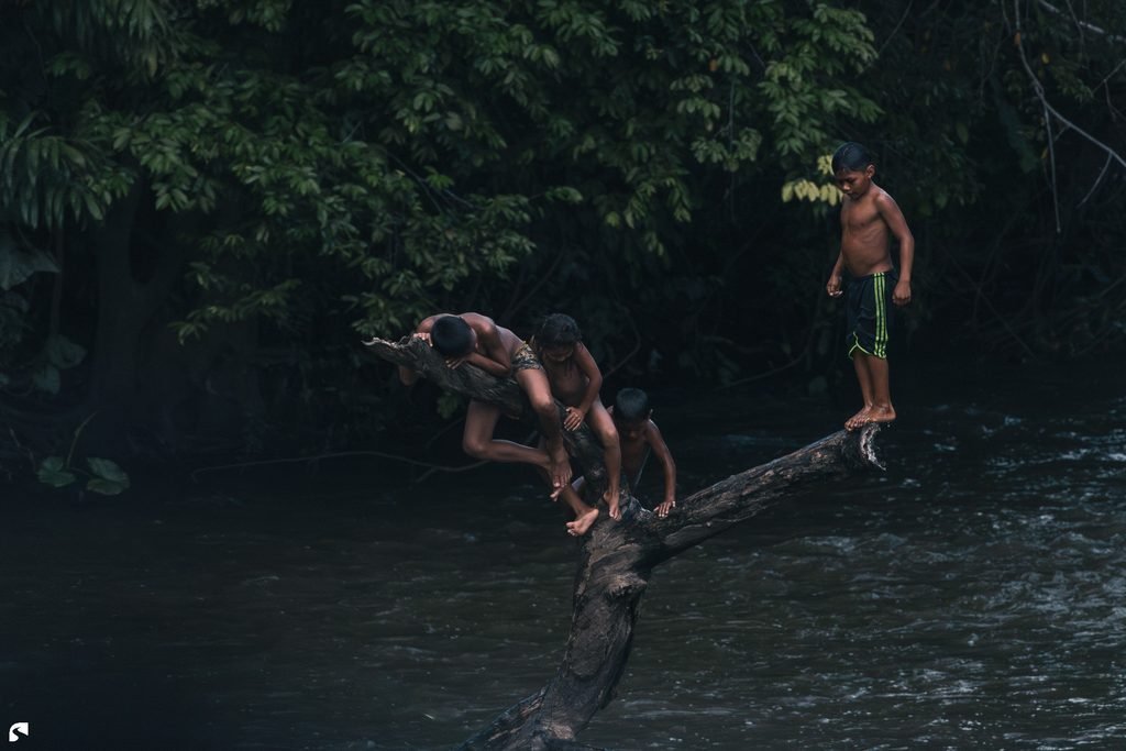 Children playing on a fallen tree over a river in Suriname’s interior