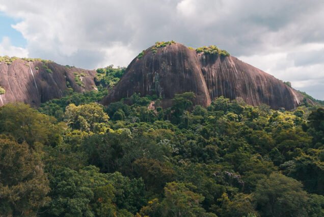 Panoramic view of Voltzberg's massive granite rock formations rising above the dense tropical rainforest in Suriname's Central Suriname Nature Reserve.